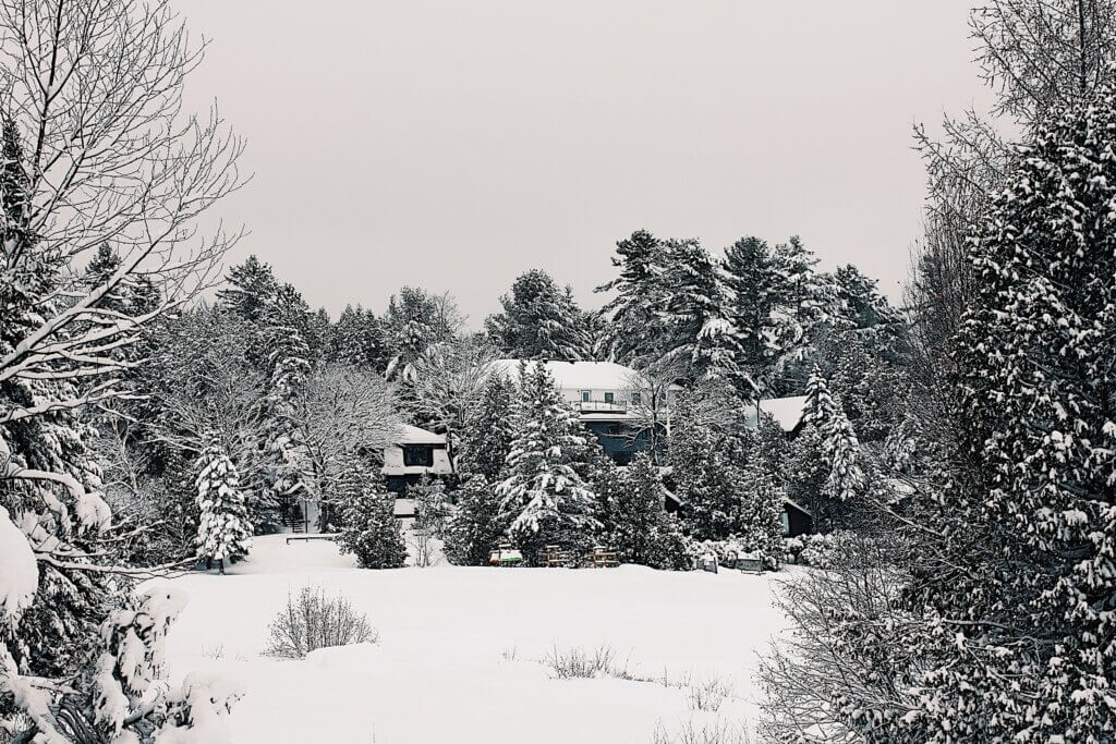 paysage enneigé