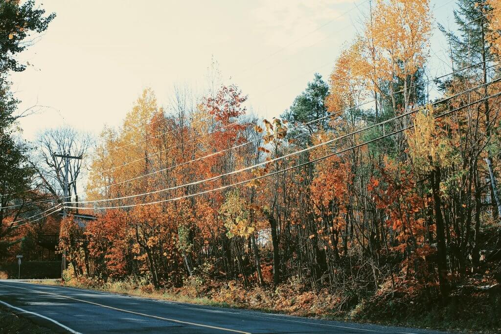 automne quebec