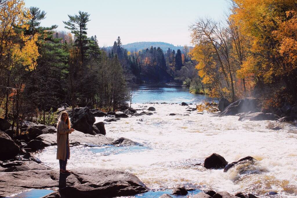 Paysage automne